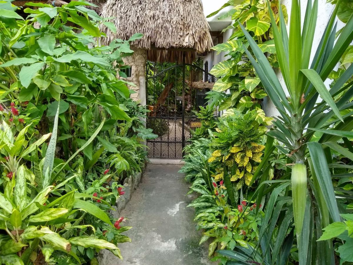 Casitas Kinsol Puerto Morelos