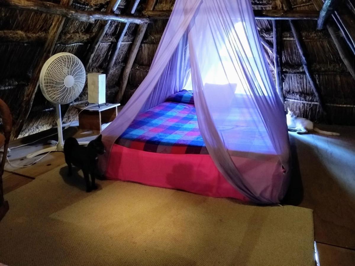 Hotel Casitas Kinsol 2*