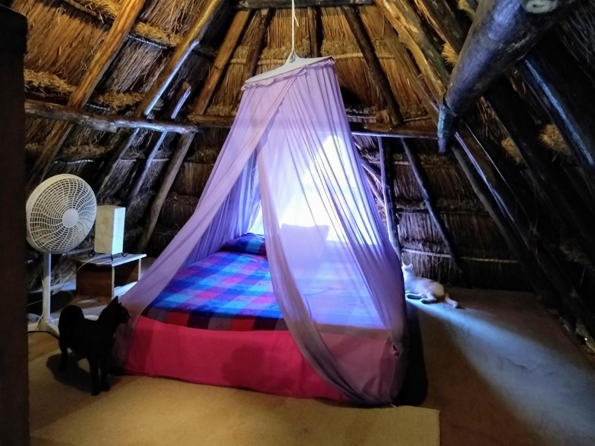 Casitas Kinsol Hotel 2*