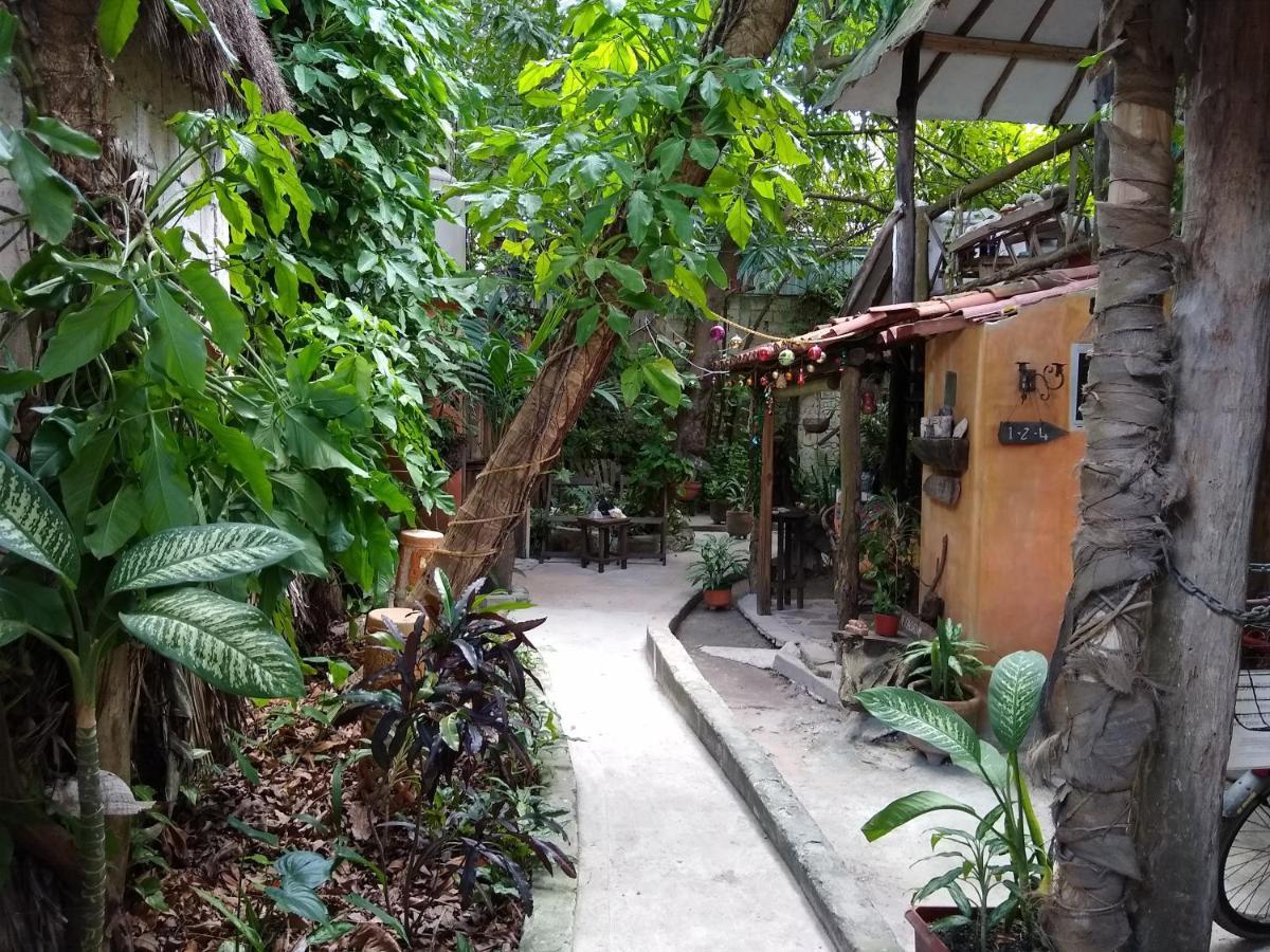 Casitas Kinsol