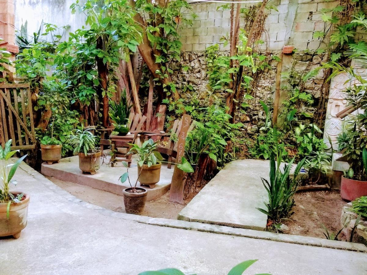 Casitas Kinsol