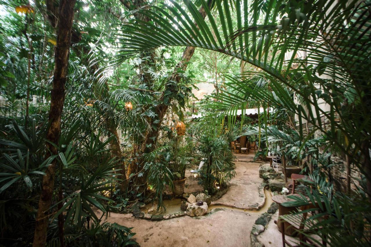 La Semilla Hotel 4*