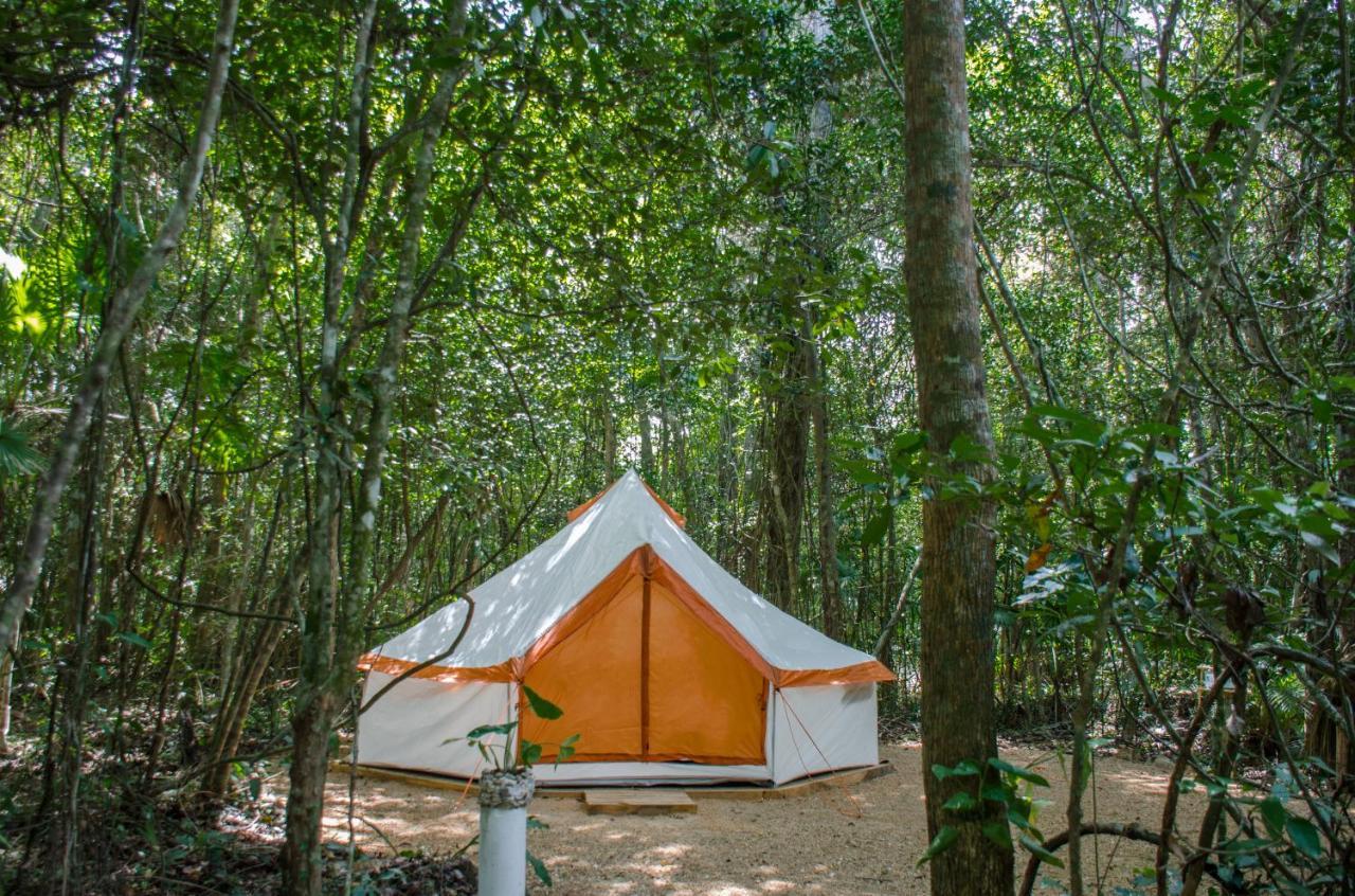 Tenda de luxo Glamping Mama Loo Mm 3*