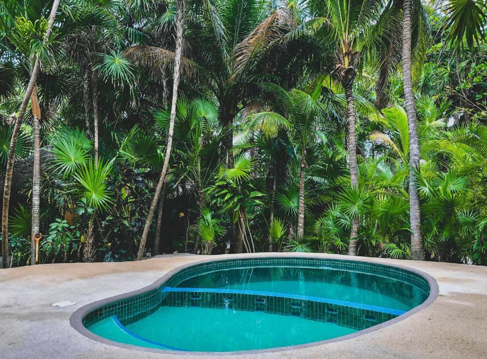 Holiday home Beachfront Bungalows- Soliman Bay *