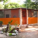 Organic Yoga Mexico