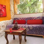 Organic Yoga Mexico