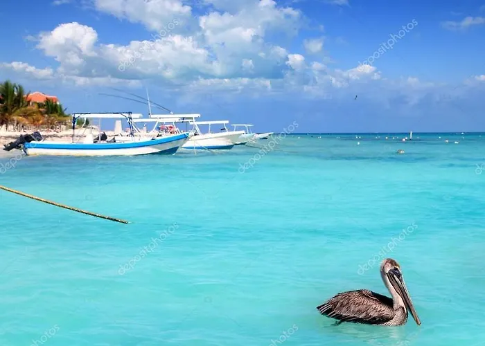 Beach Front House At Puerto Morelos