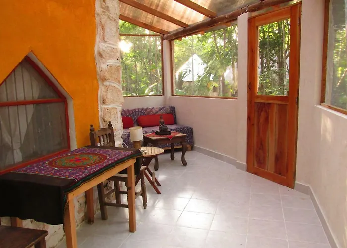 Organic Yoga Mexico