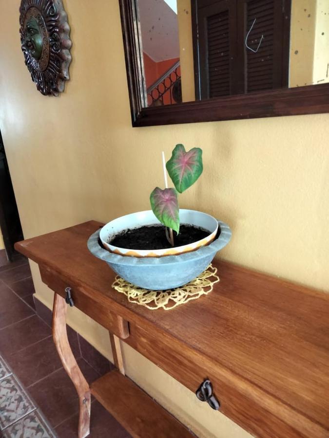 Casa Niwinski * Puerto Morelos