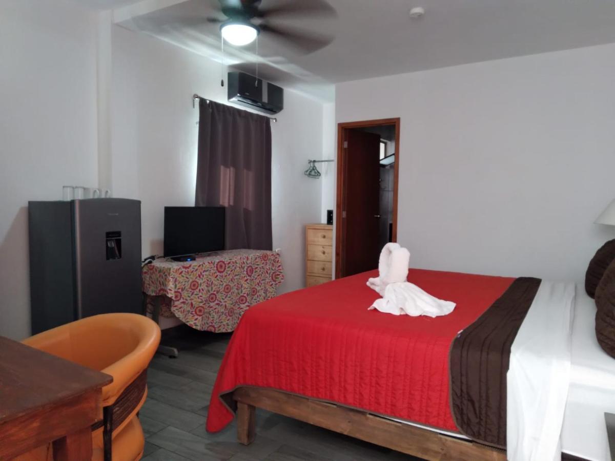 Fenicia Apartamento *