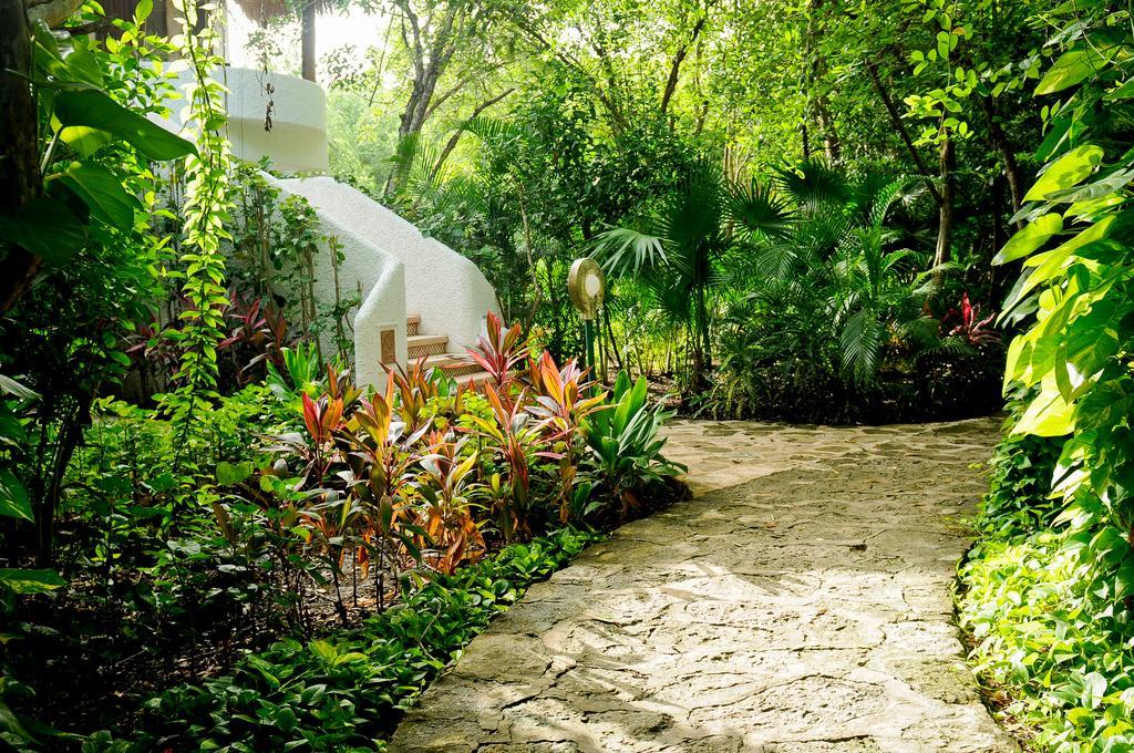 Hotel Amarte Maroma Eco Boutique Punta Maroma
