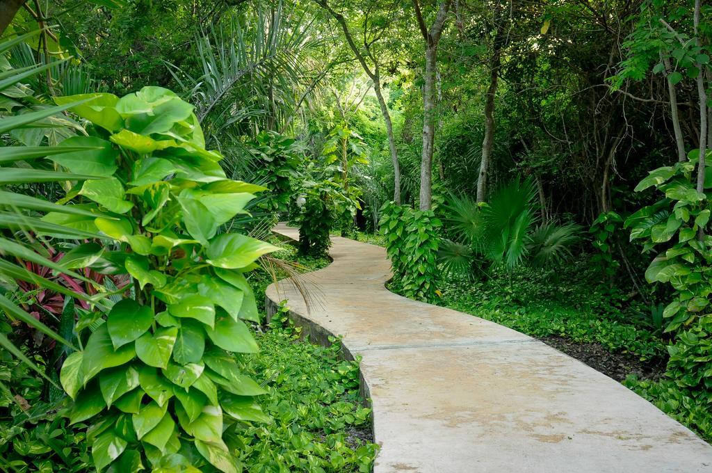 Hotel Amarte Maroma Eco Boutique
