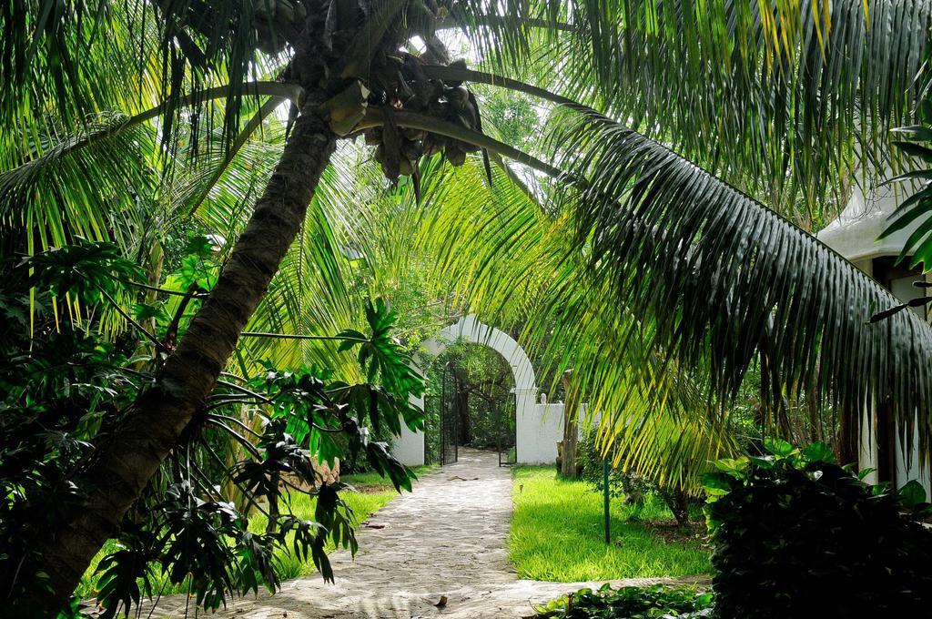 Hotel Amarte Maroma Eco Boutique Punta Maroma
