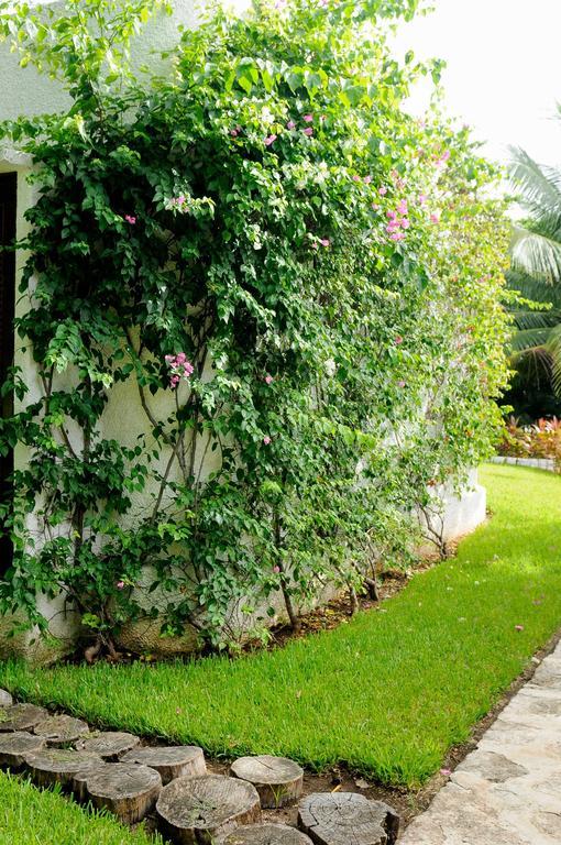 Amarte Maroma Eco Boutique Punta Maroma