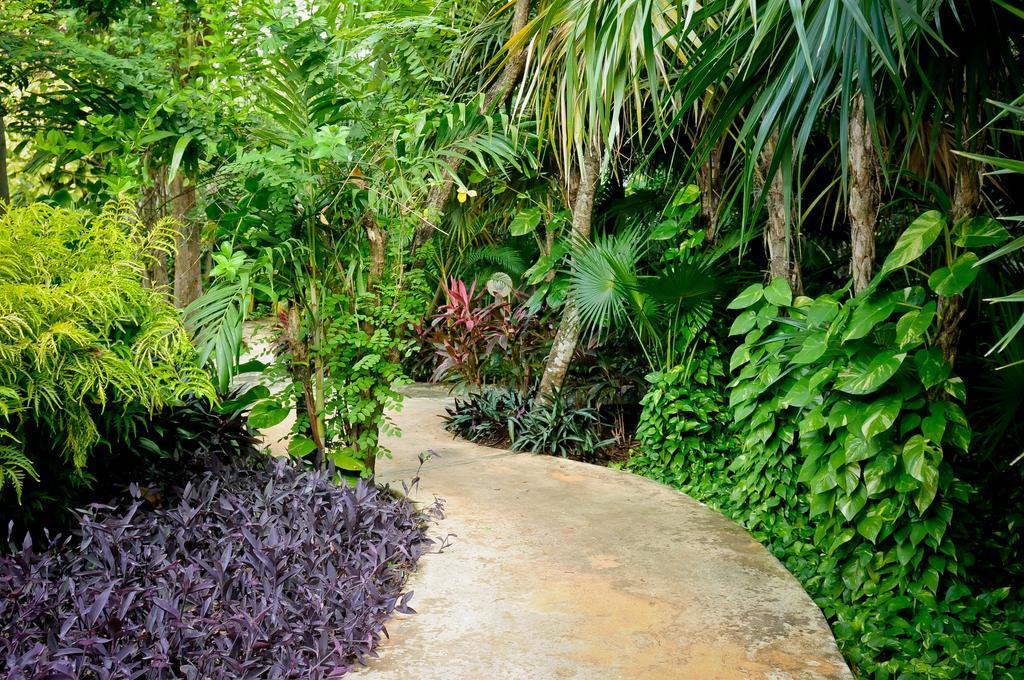 Hotel Amarte Maroma Eco Boutique 4*