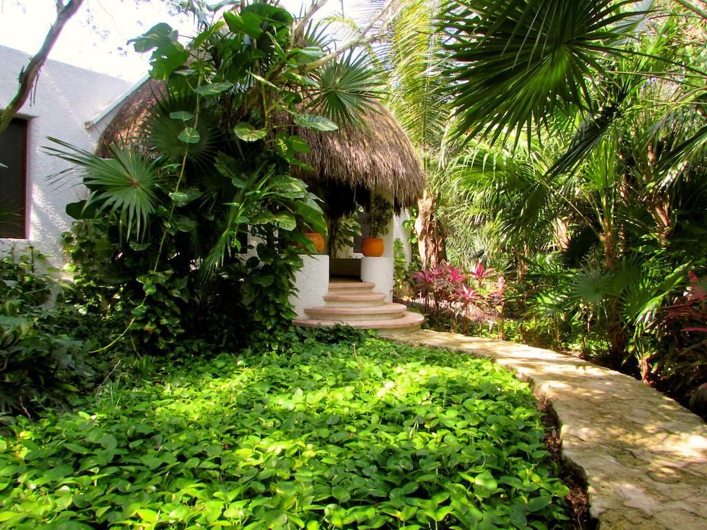 Amarte Maroma Eco Boutique Hotel Punta Maroma