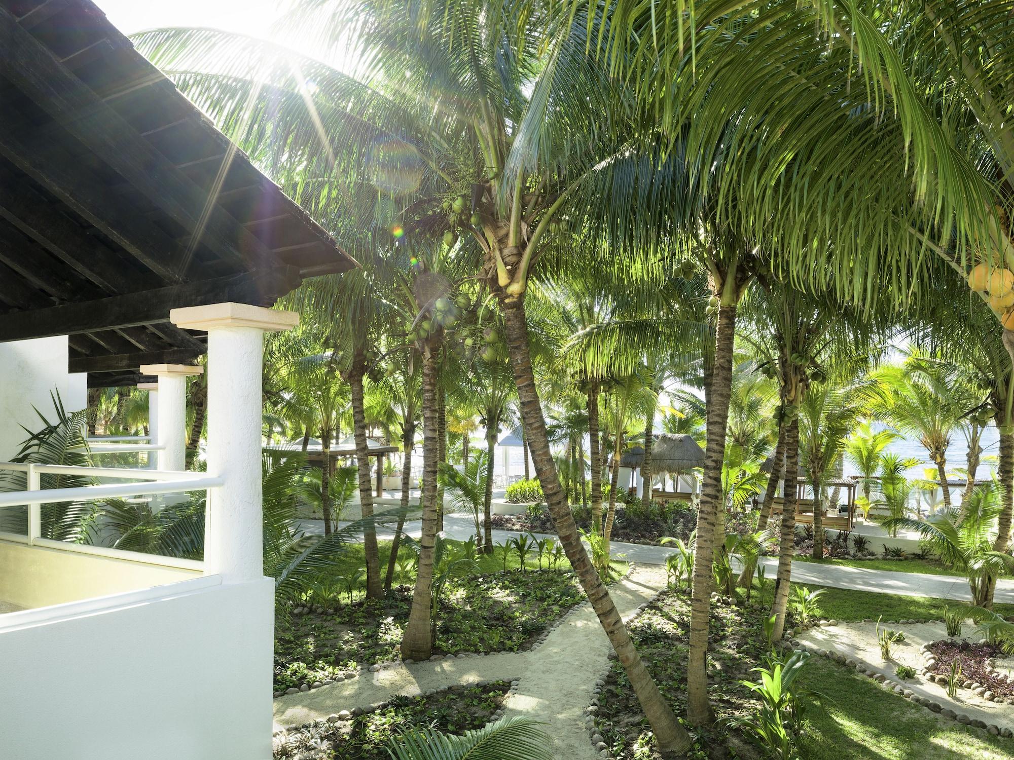 Resort El Dorado Seaside Palms, Catamaran, Cenote & Inclusive (adults Only)