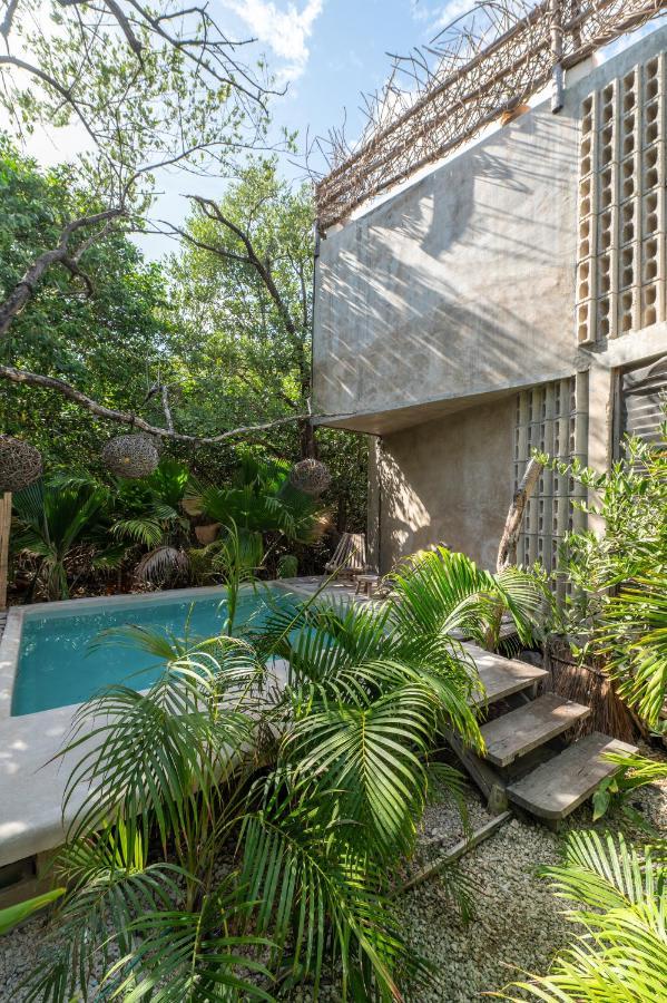 Casa Coyote Hotel 3*