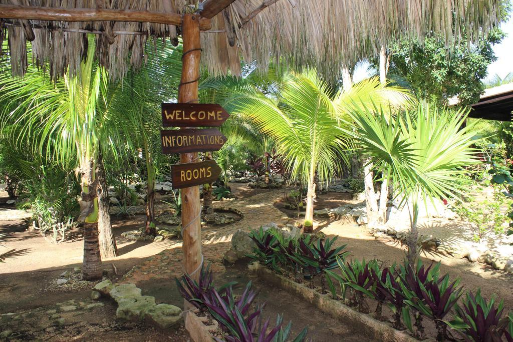 Hotel Casa De Tortugas I Tour 2*