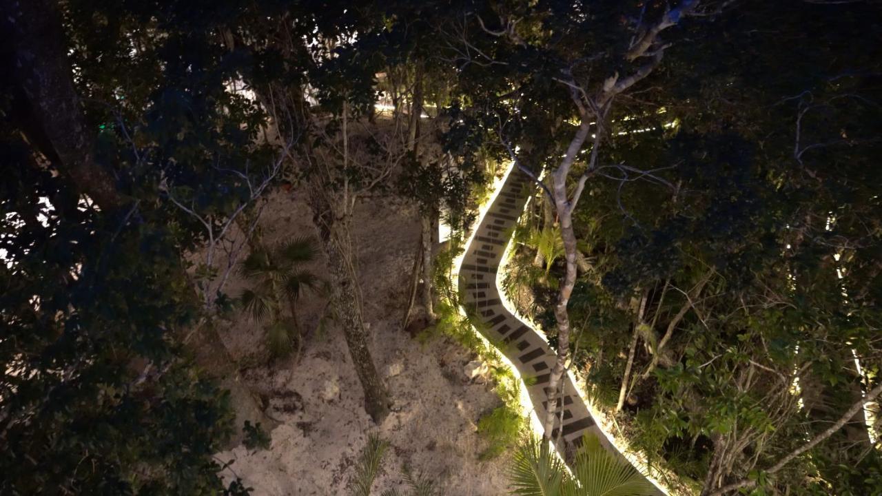 Kaaba Luum Jungle Chemuyil