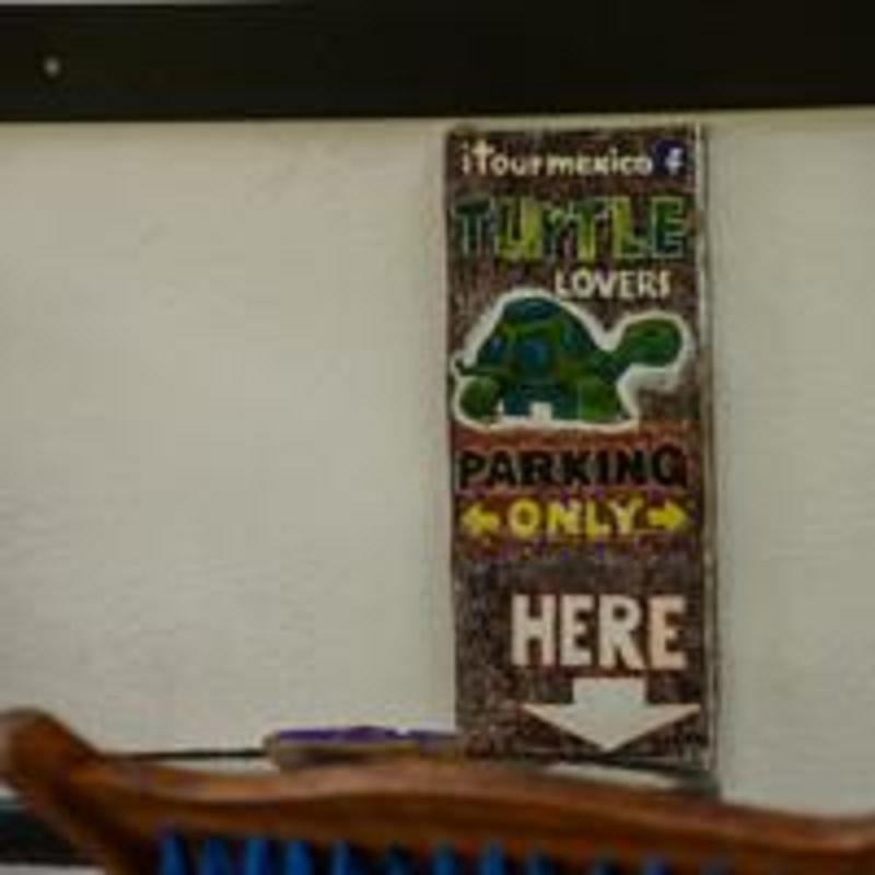 Casa De Tortugas I Tour