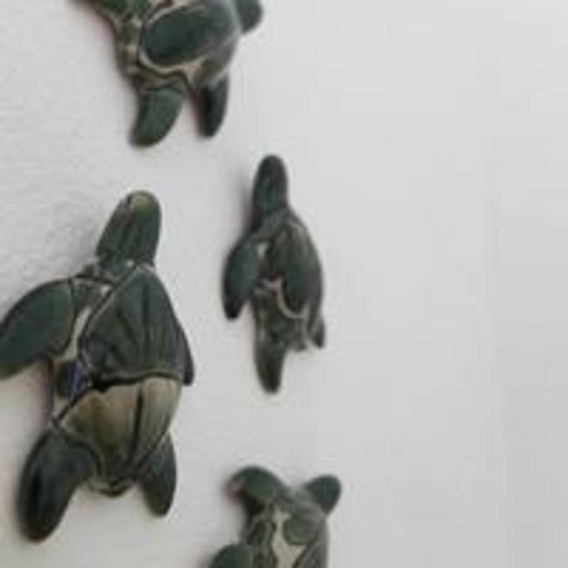 Casa De Tortugas I Tour