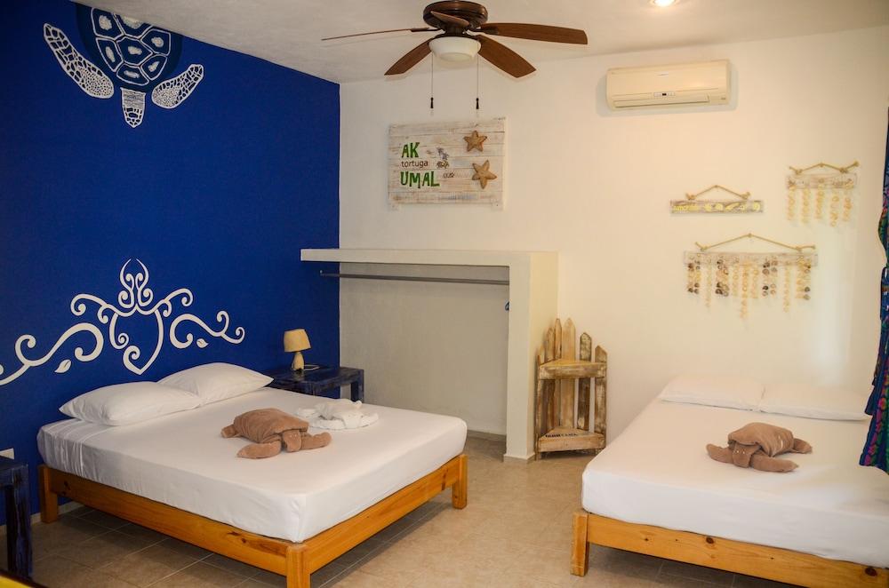 Casa De Tortugas I Tour Akumal