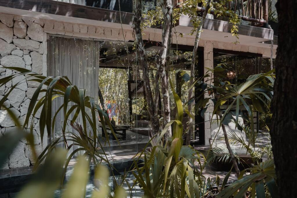 Kaaba Luum Jungle