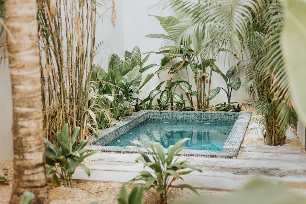 Tuuk: Luxury 5-bedroom With Private Pool And Concierge Villa Tulum