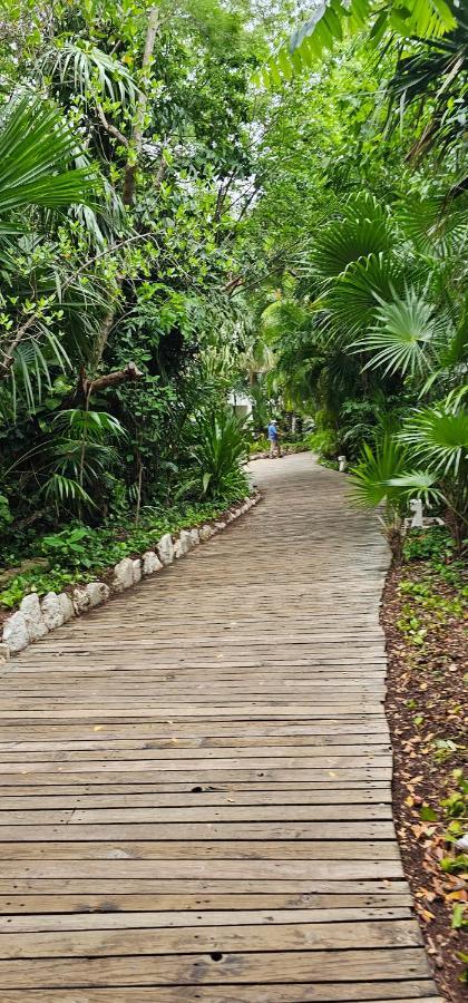 Mayan Palace Resort Puerto Morelos