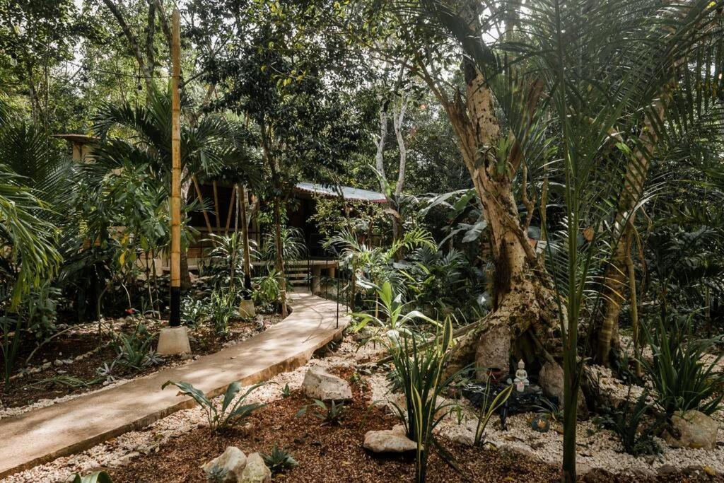 Zen Canto Tuuch :: May The Jungle Be With You Casa de férias