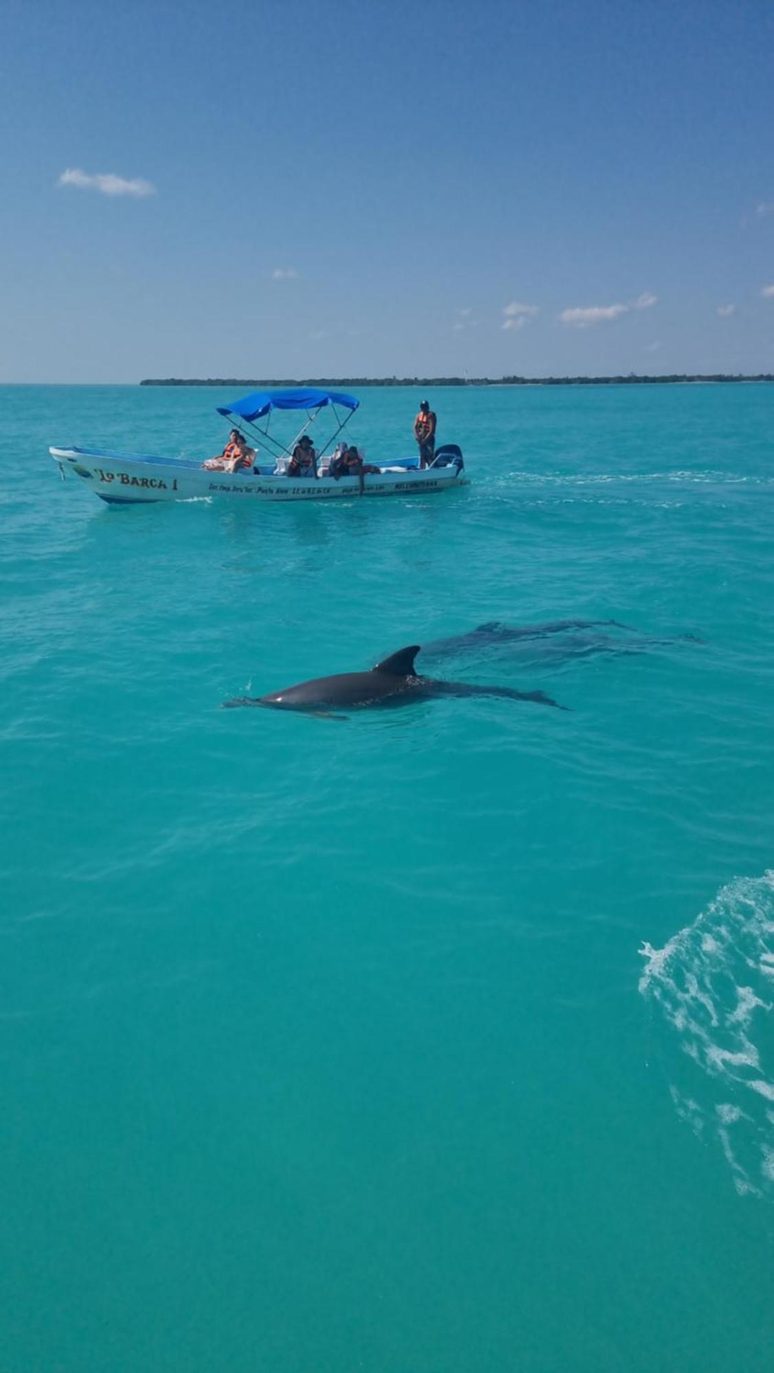 Lodge Cielo Y Selva Punta Allen