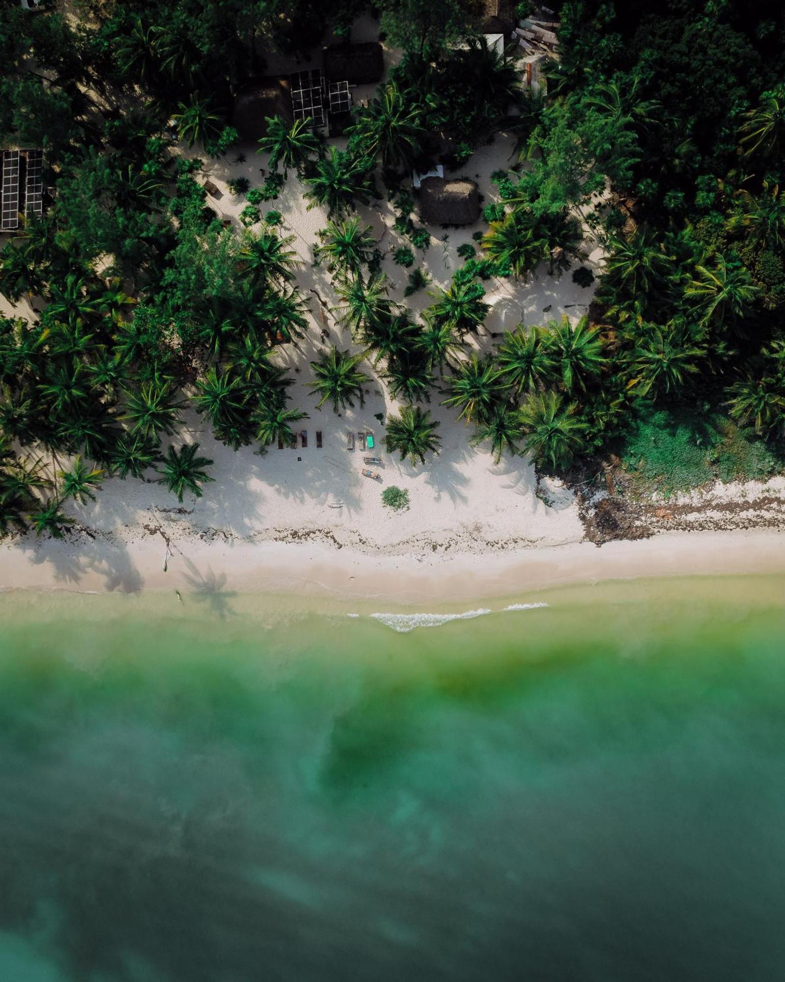 Cielo Y Selva * Punta Allen