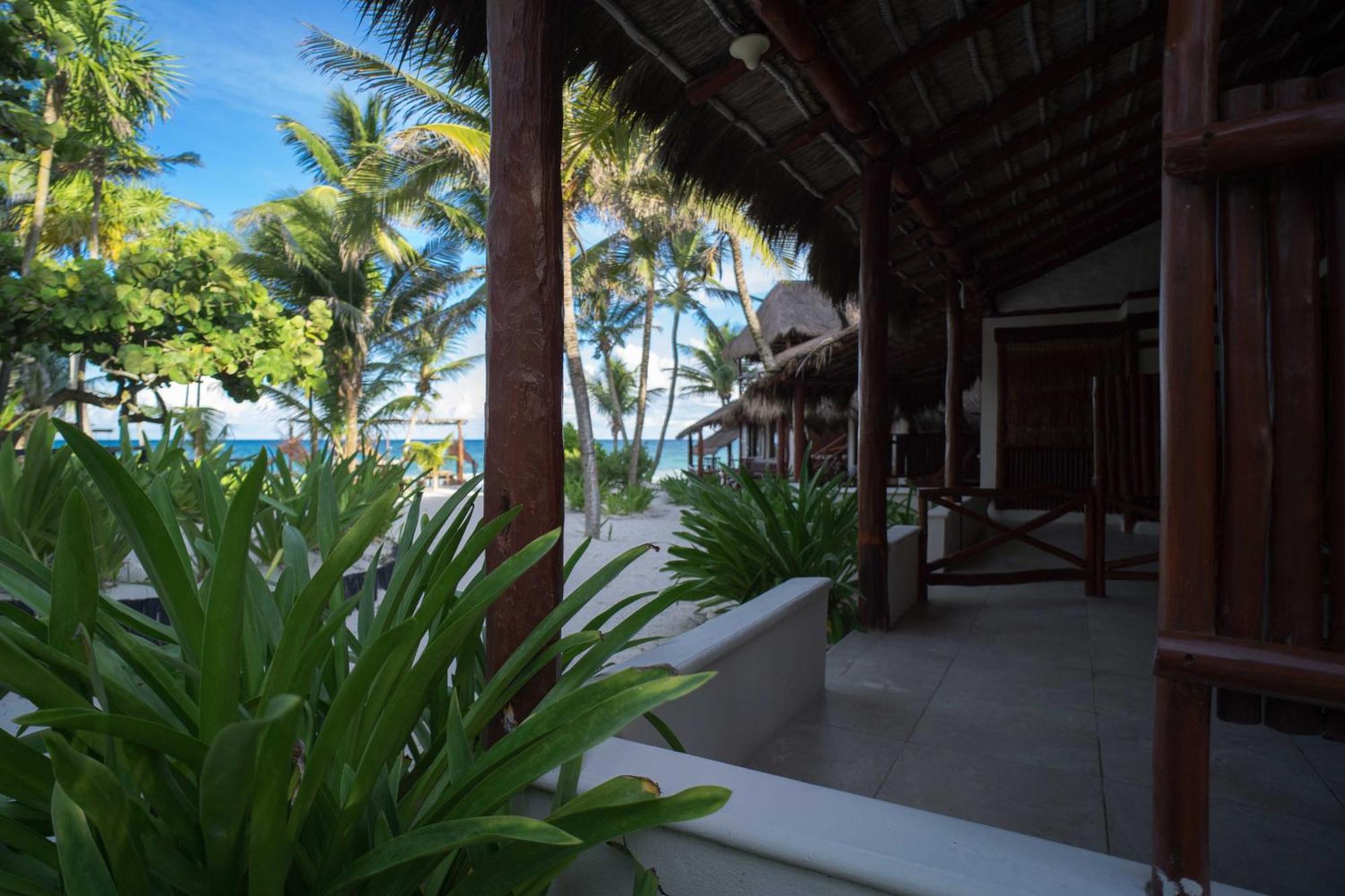 Hotel Bt Live Located At The Party Zone Tulum