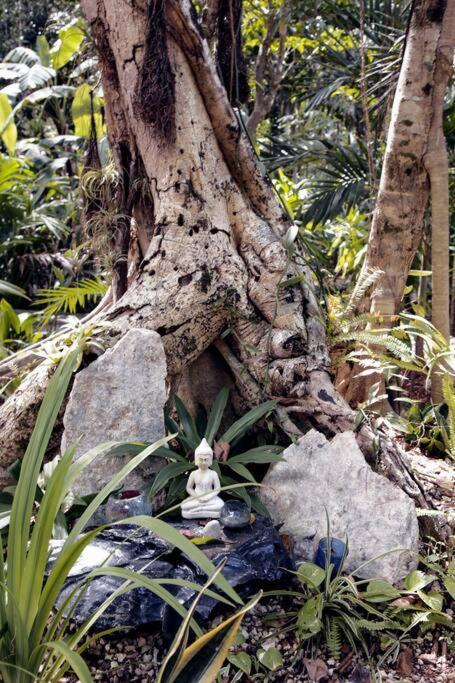 Zen Canto Tuuch :: May The Jungle Be With You Casa de férias