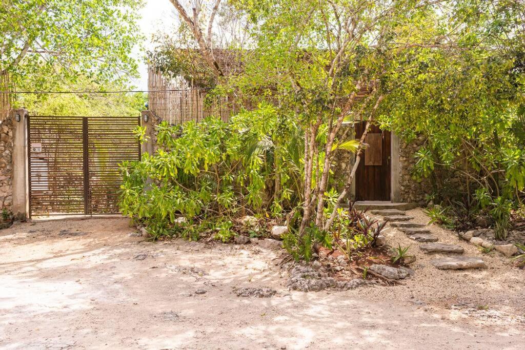 Zen Canto Tuuch :: May The Jungle Be With You Casa de férias
