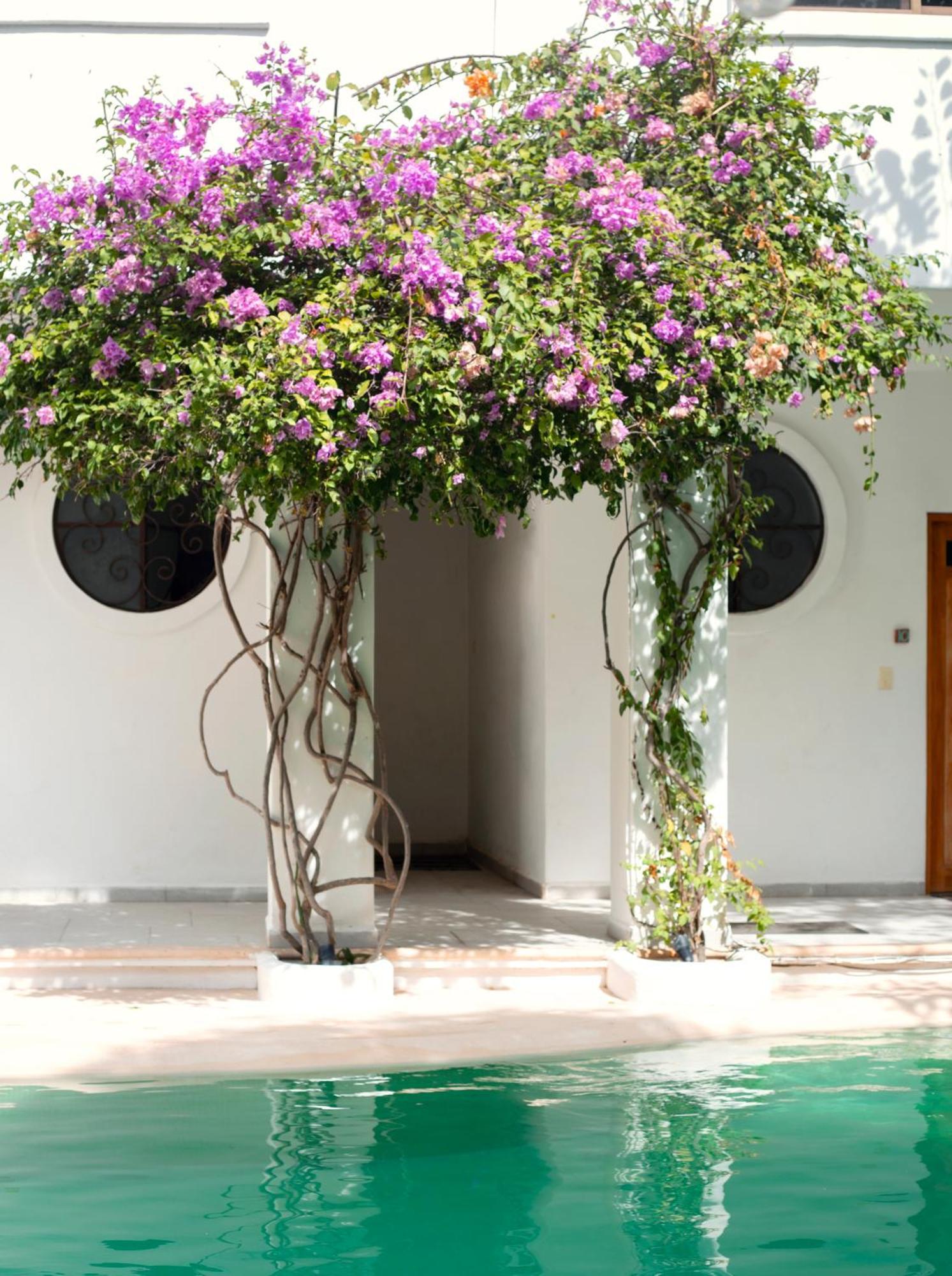 Apartamento Sonido Del Mar Boutique & Yoga Loft *