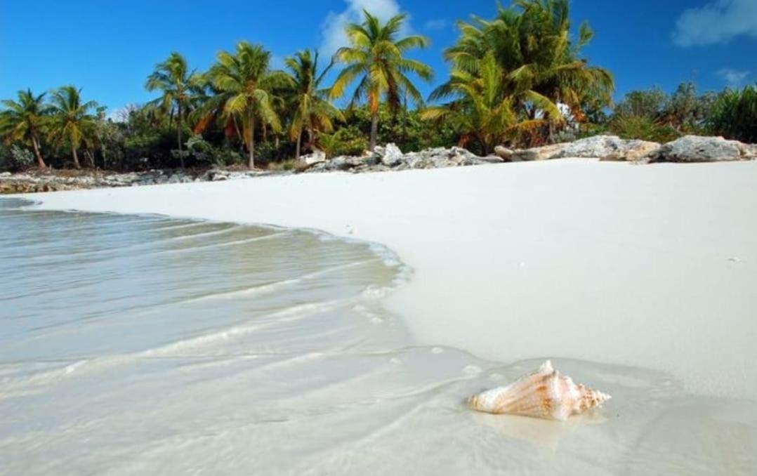 Apartamento Caribe Grand Dream *