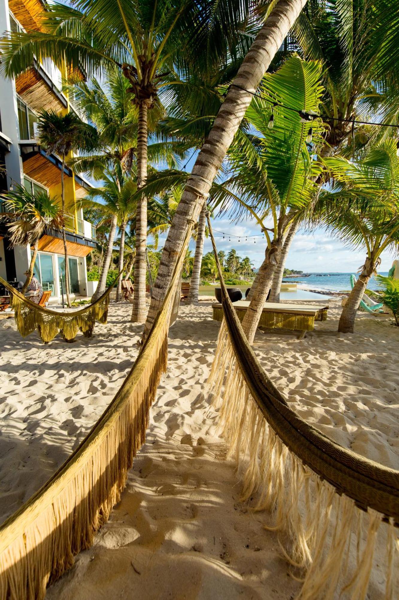 Apartment Angelina 28 Beachfront And Family - Modern And Relaxing Long - 20 Min From Cancun Airport *