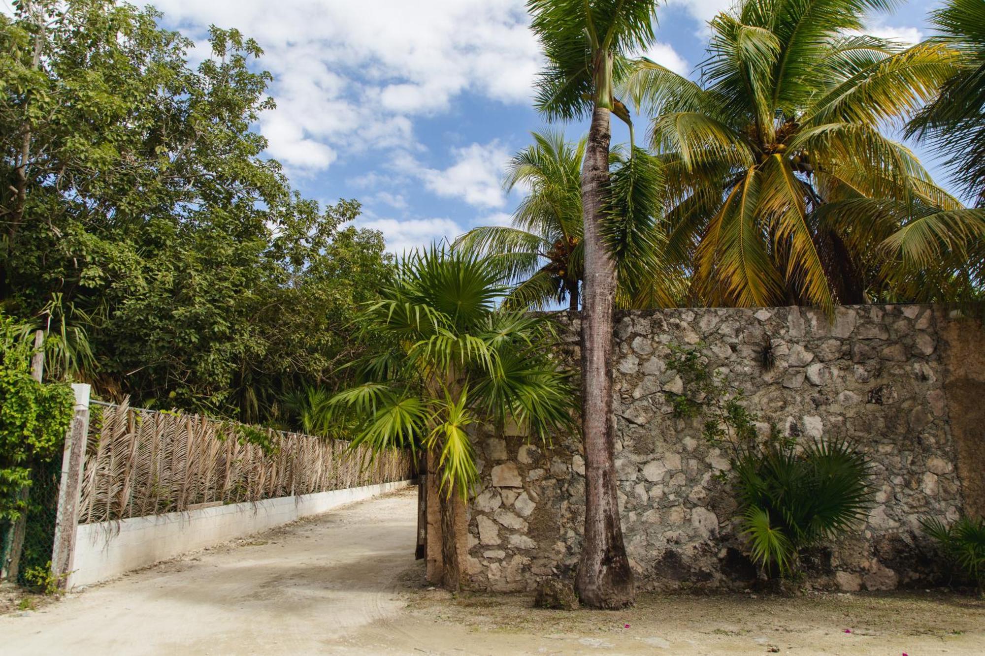 Angelina 28 Beachfront And Family - Modern And Relaxing Long - 20 Min From Cancun Airport * Puerto Morelos