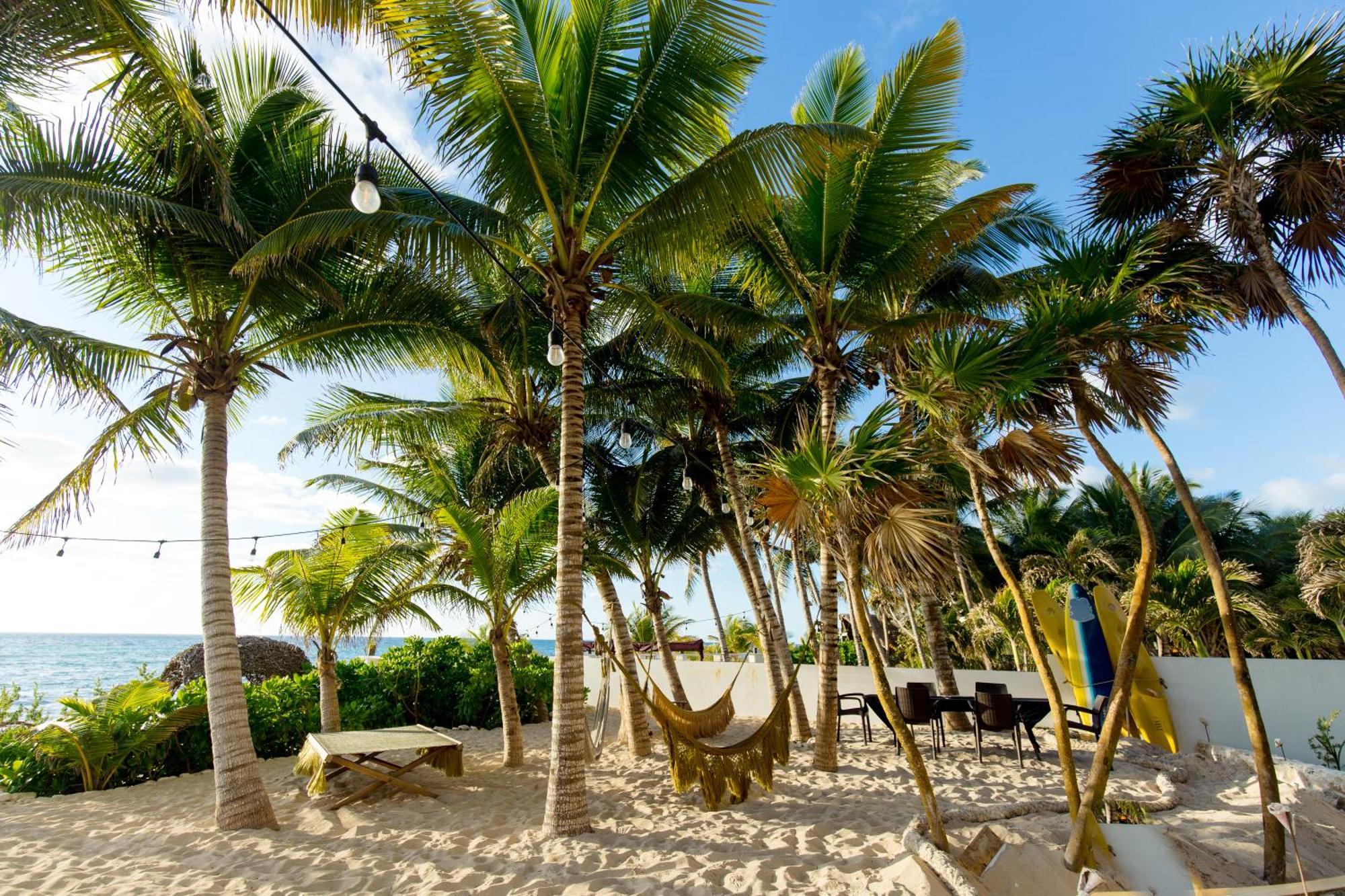 Angelina 28 Beachfront And Family - Modern And Relaxing Long - 20 Min From Cancun Airport *