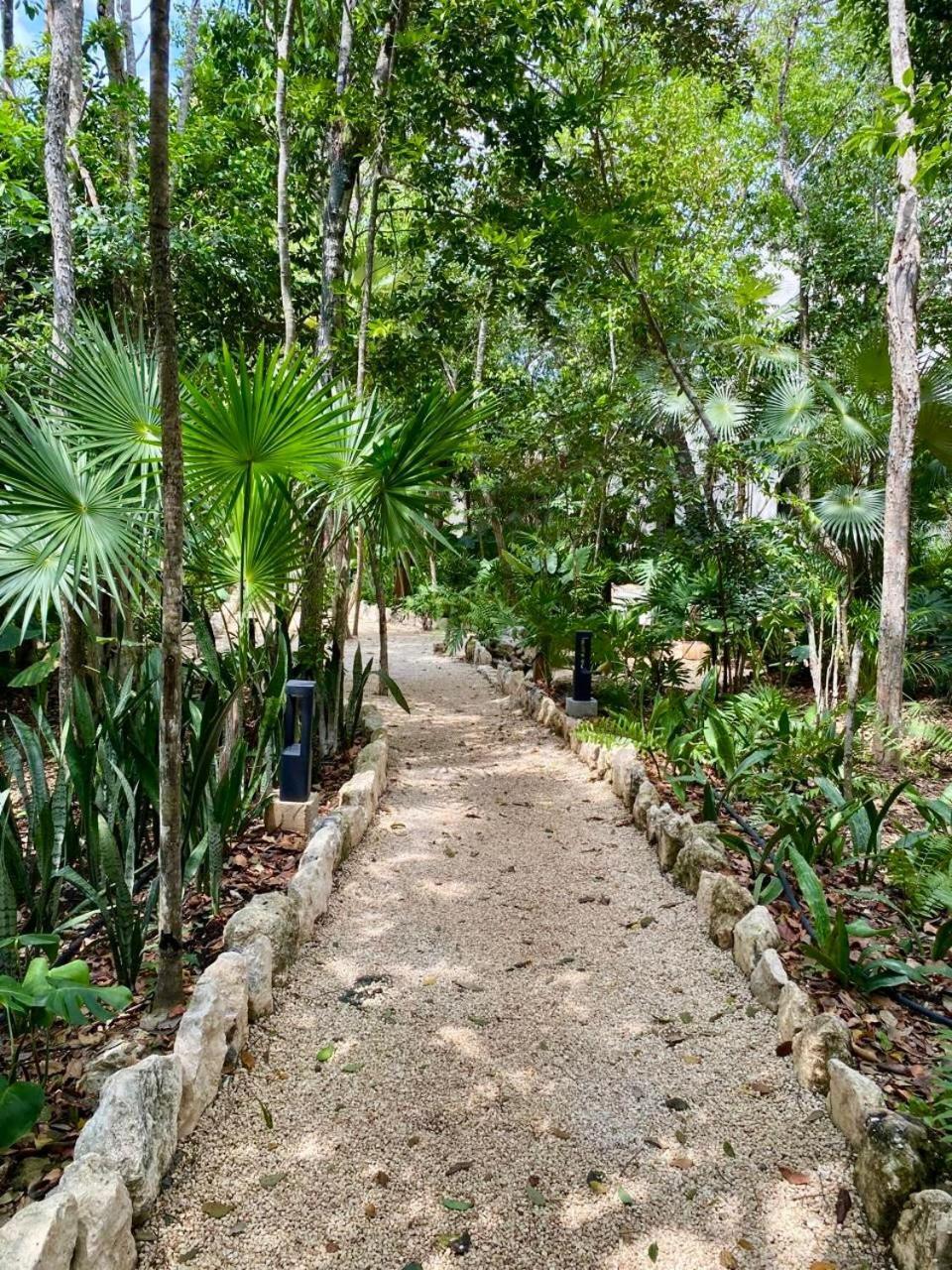 Apartment Tuane Deluxe Tulum