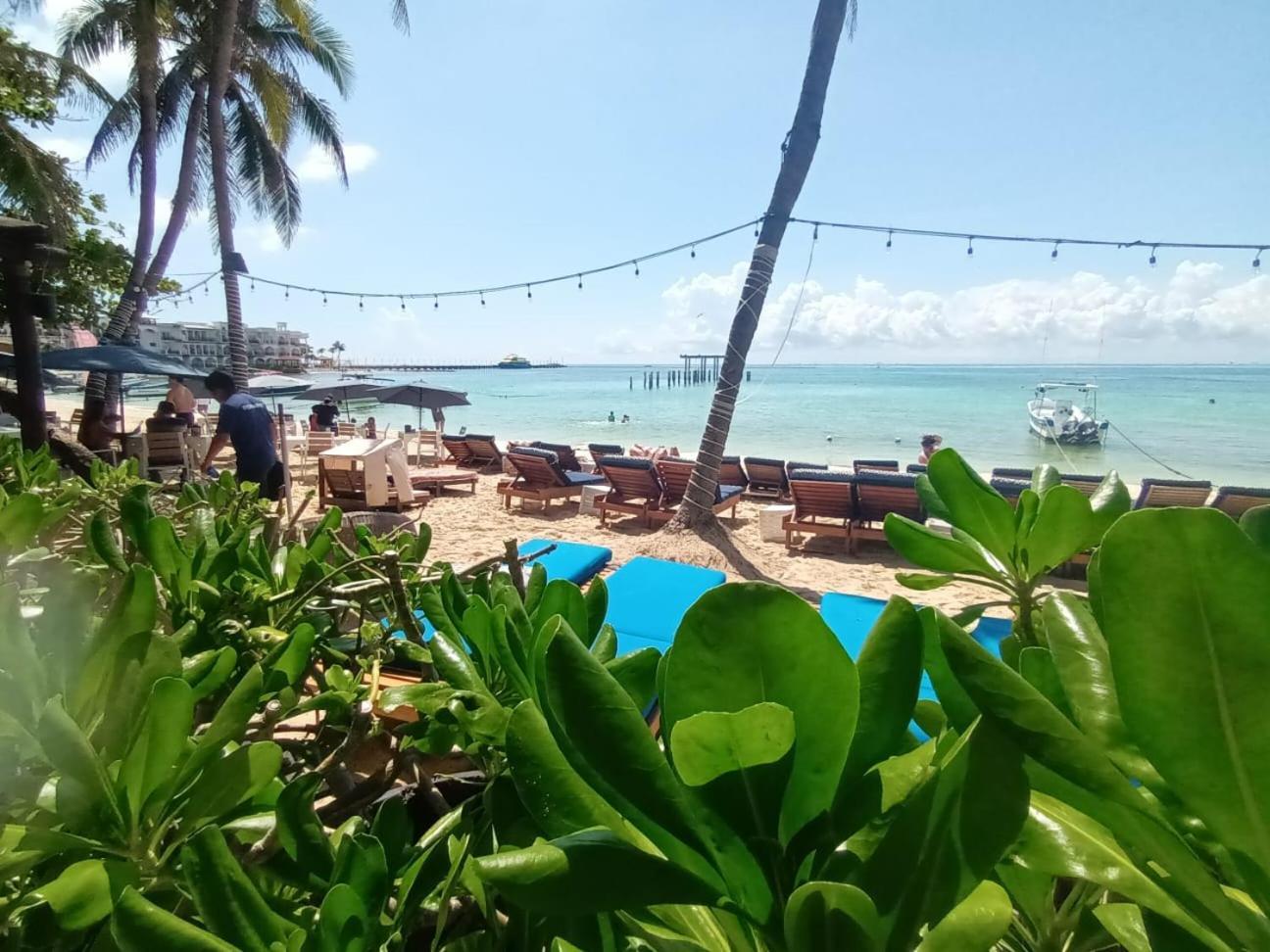 El Taj Oceanfront&beachside