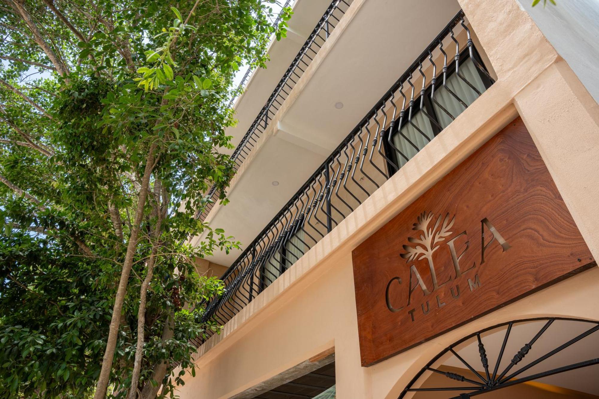 Hotel Calea *
