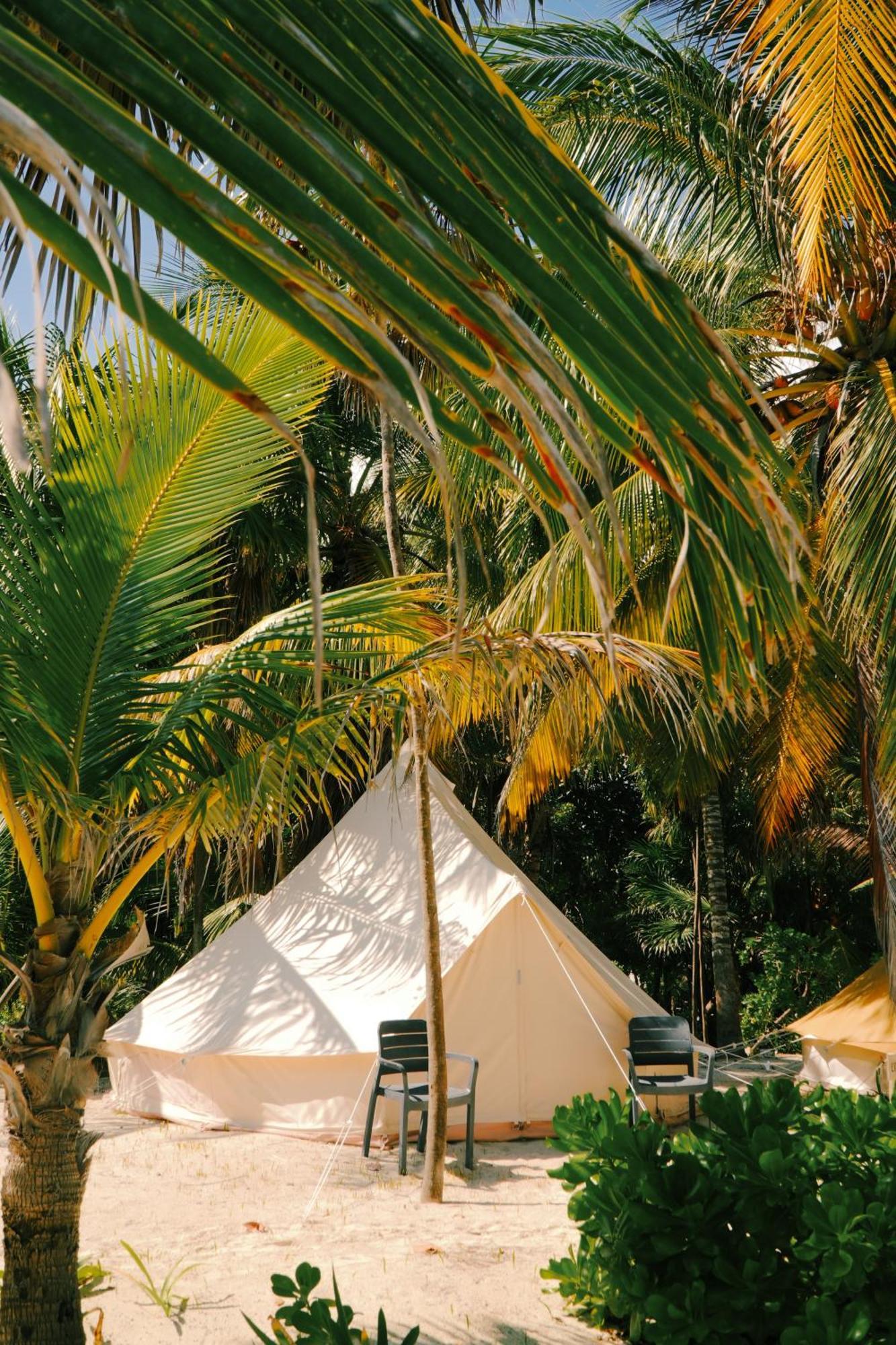 Lodge Cielo Y Selva *