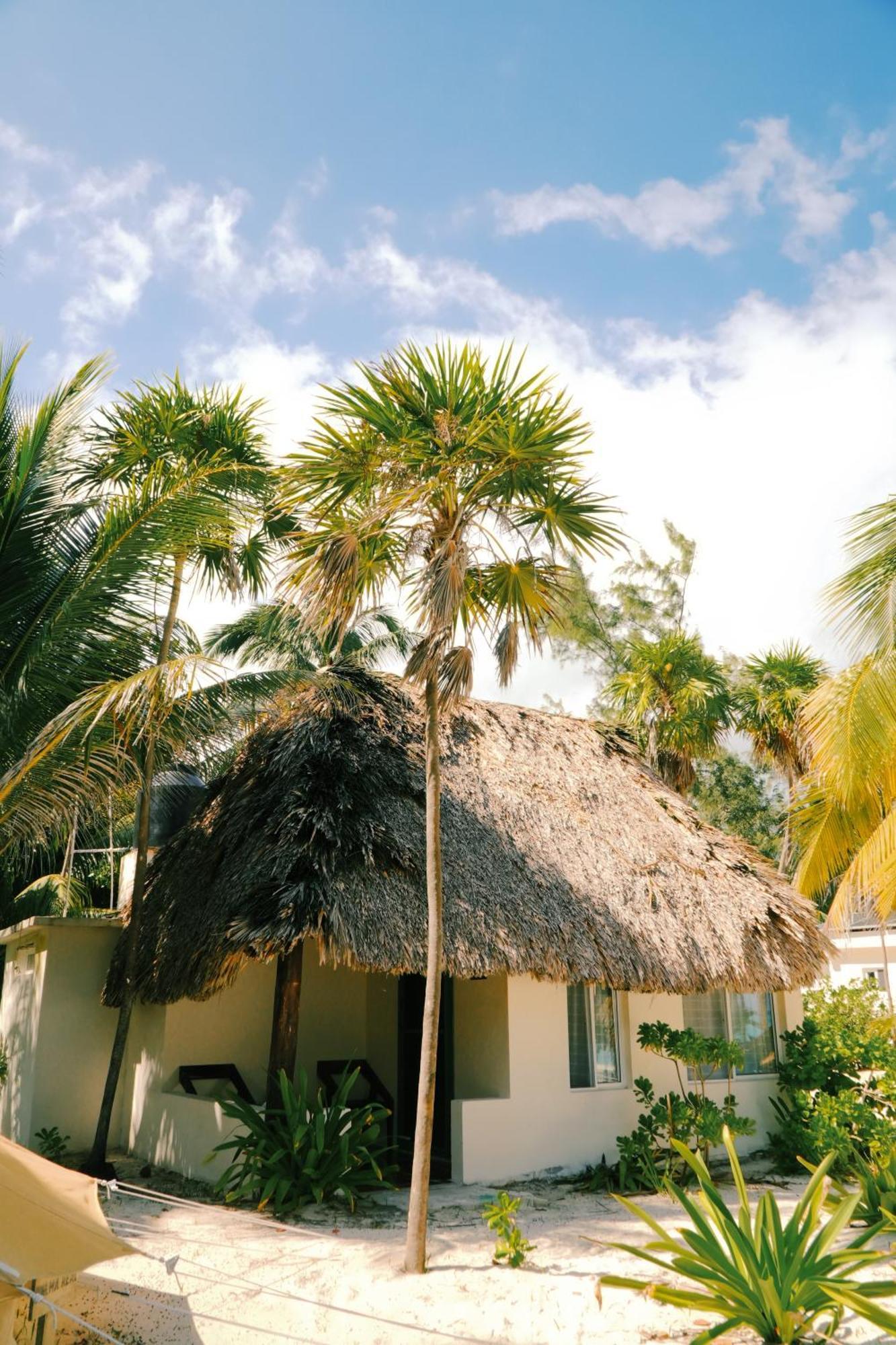 Cielo Y Selva Lodge *