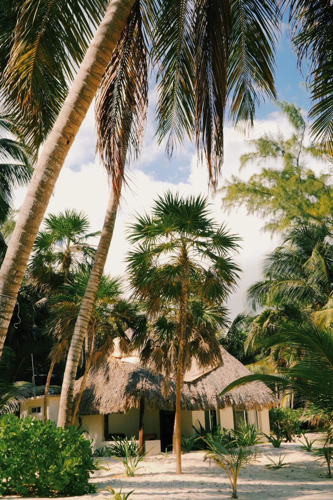 Cielo Y Selva * Punta Allen