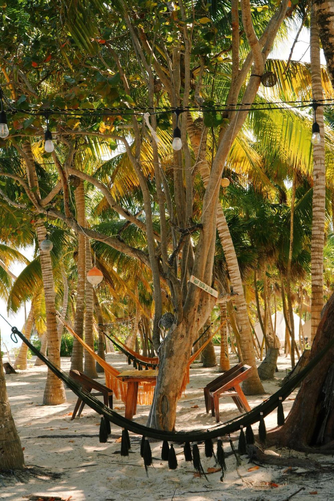 Cielo Y Selva Lodge *