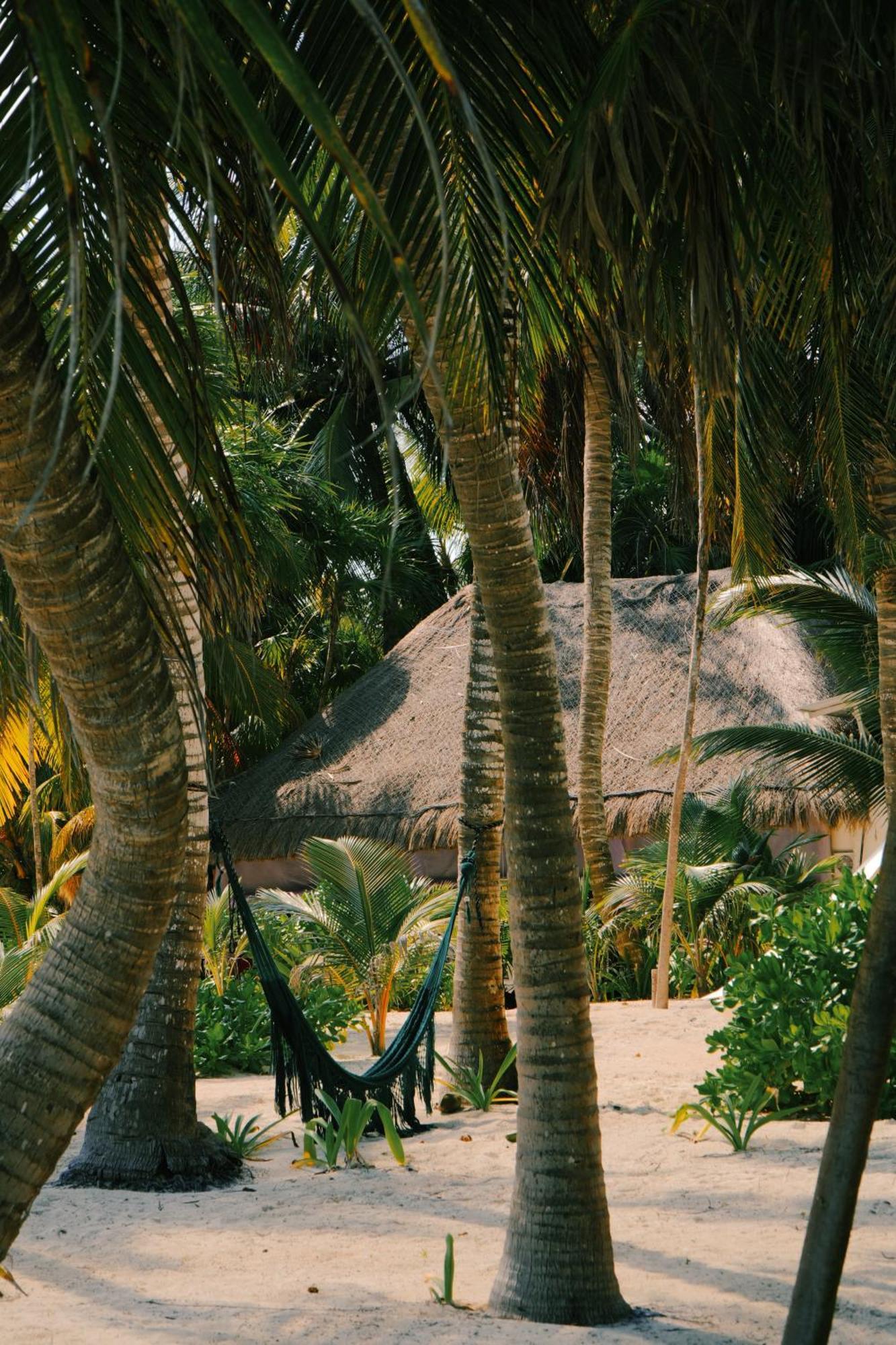 Cielo Y Selva Punta Allen