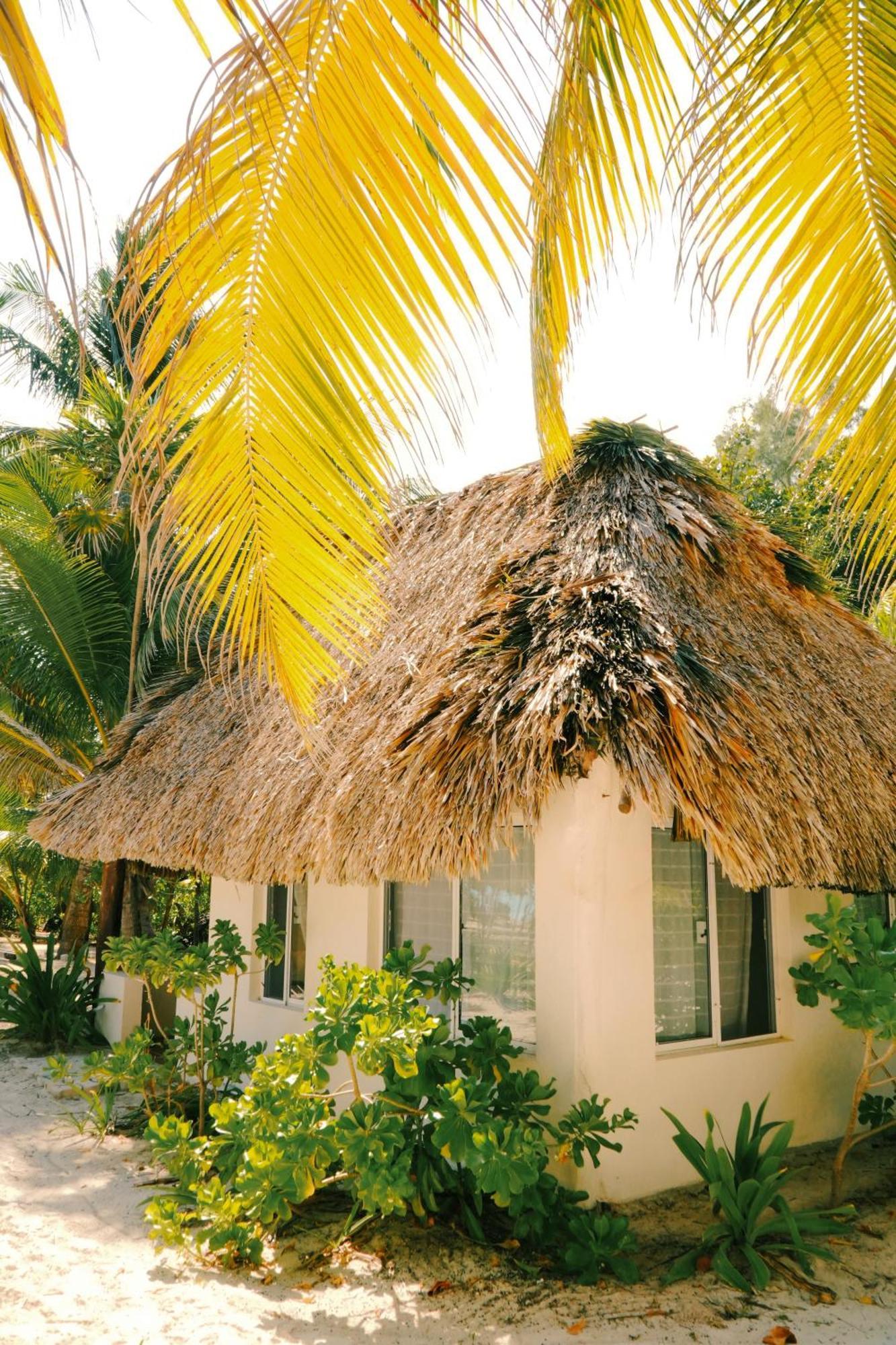Cielo Y Selva * Punta Allen